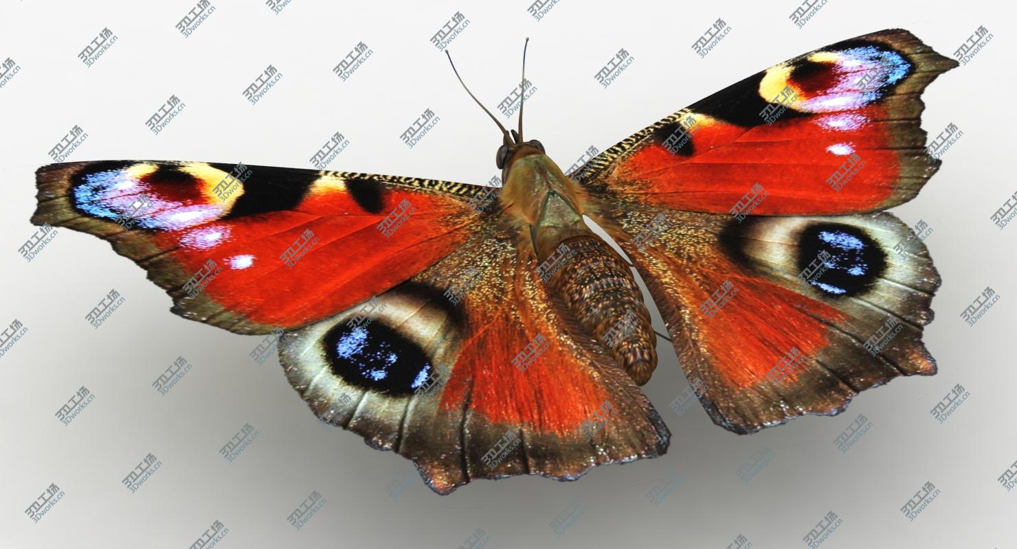 images/goods_img/2021040161/3D model Butterfly Collection/4.jpg